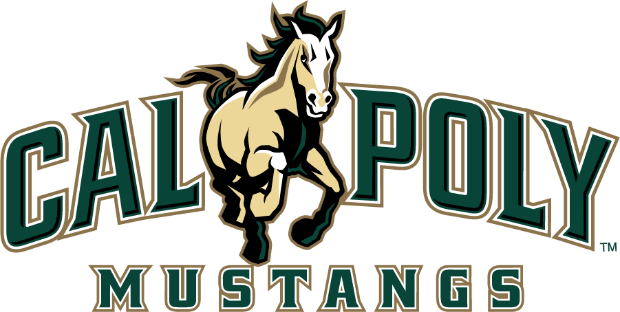 Cal Poly Mustangs 2016-2021 Primary Logo diy iron on heat transfer...